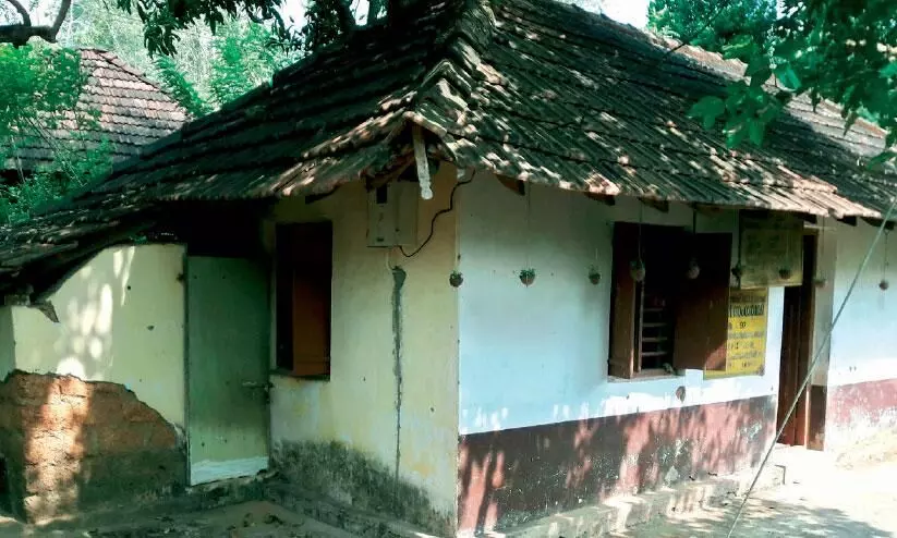 ഭീ​തി​യു​ടെ കൂ​ര​യി​ൽ കു​രു​ന്നു​ക​ൾ