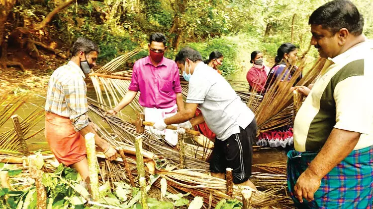 കലക്ടർ തോട്ടിലിറങ്ങി; തടയണ നിർമാണം ആഘോഷമായി കലക്ടർ തോട്ടിലിറങ്ങി; തടയണ നിർമാണം ആഘോഷമായി