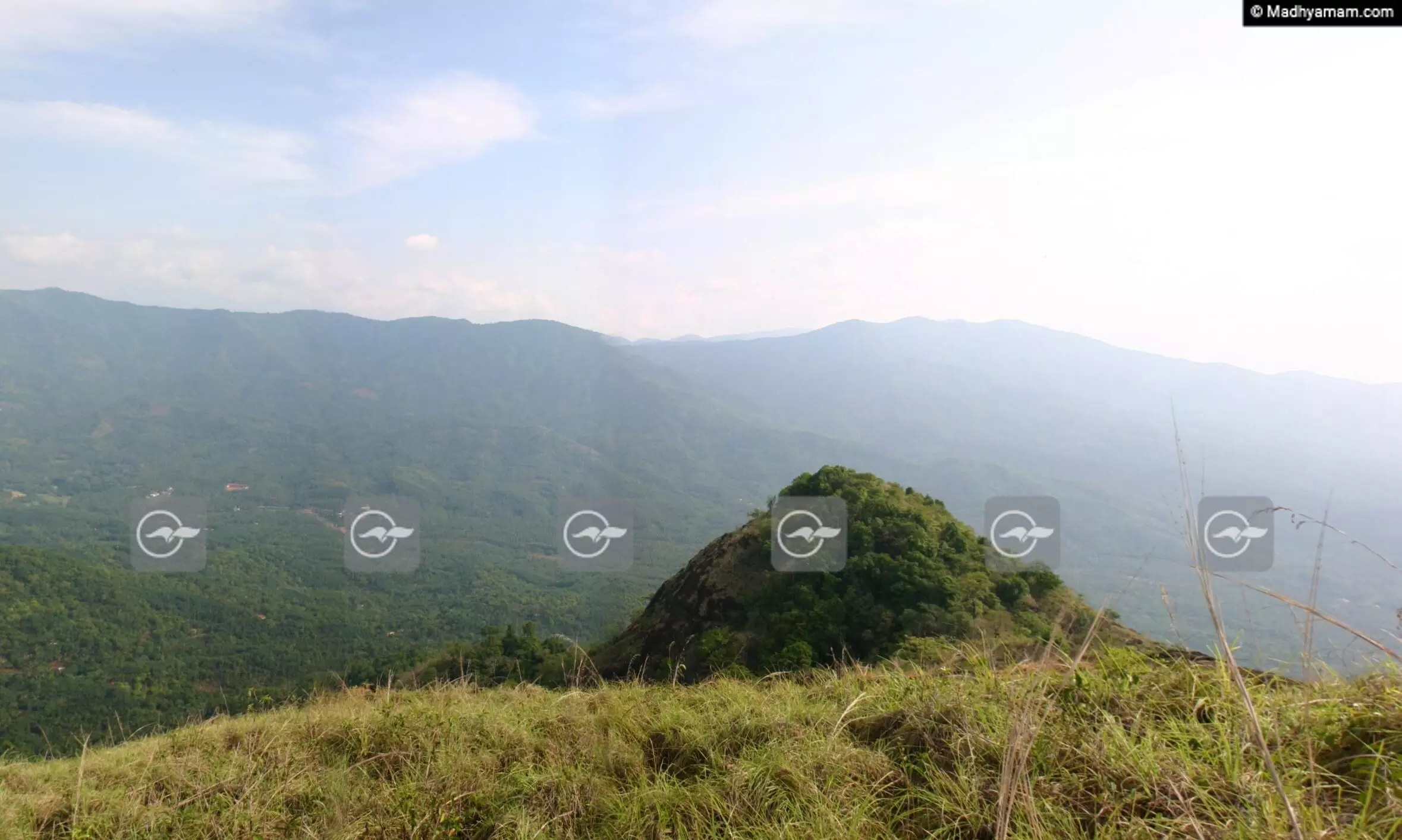 ദൃ​ശ്യ​ഭം​ഗിയൊരുക്കി പാലുകാച്ചി​മല; വഴിയില്ലാതെ കുടുങ്ങി സ​ഞ്ചാ​രി​ക​ള്‍