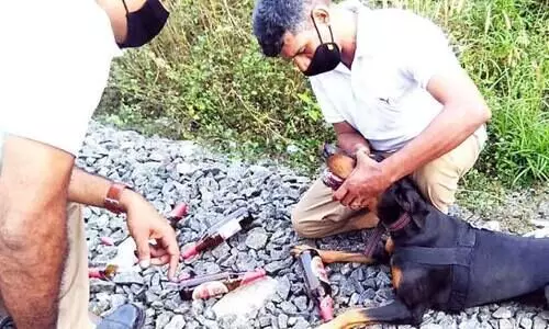 കൊ​യി​ലാ​ണ്ടി​യി​ൽ റെ​യി​ൽ​വേ ട്രാ​ക്കി​ൽ ബി​യ​ർ കു​പ്പി​ക​ൾ