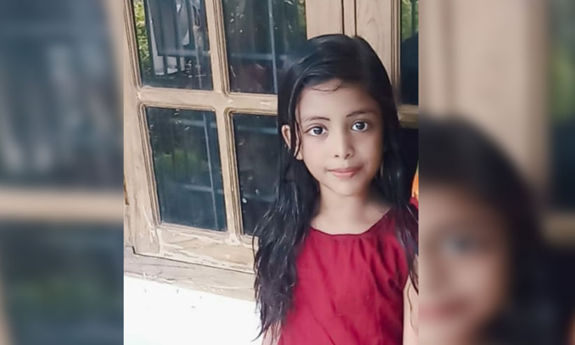 വീട്ടുമുറ്റത്ത് കളിച്ചുകൊണ്ടിരിക്കെ പാമ്പുകടിയേറ്റ എട്ടു വയസുകാരി മരിച്ചു വീട്ടുമുറ്റത്ത് കളിച്ചുകൊണ്ടിരിക്കെ പാമ്പുകടിയേറ്റ എട്ടു വയസുകാരി മരിച്ചു