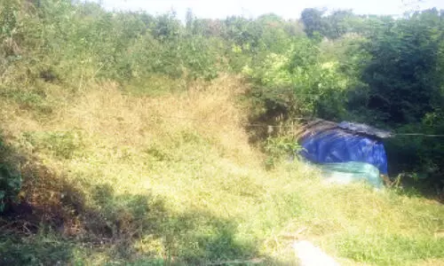 പ്രാർഥന വിഫലം; വി​ഷ​പ്പാ​മ്പ്‌ ജീ​വ​ൻ ക​വ​ർ​ന്ന ഹയാ ഹംദക്ക്​ യാത്രാമൊഴി