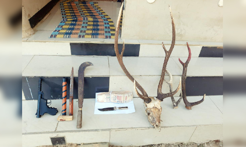 banned currency and deer horn