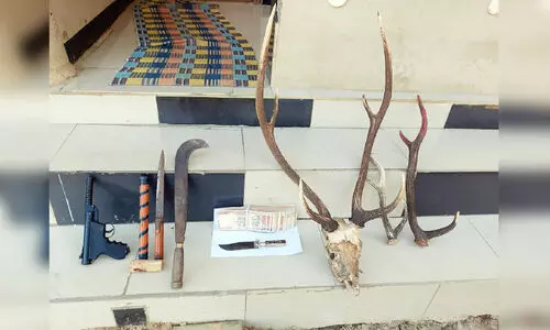 banned currency and deer horn