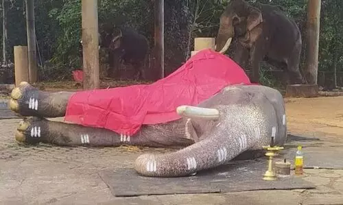 mangalamkunnu karnan