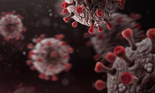 യു.എ.ഇയിൽ കോവിഡ്​ എത്തിയിട്ട്​ ഒരു വർഷം