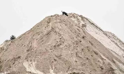 Protests against coal mining are gaining strength in popular support