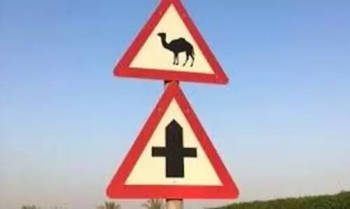 യു.​എ.​ഇ​യി​ൽ ട്രാ​ഫി​ക് അ​പ​ക​ട​ങ്ങ​ളി​ൽ കു​റ​വ്; നി​യ​മ​ലം​ഘ​നം വ​ർ​ധി​ച്ചു