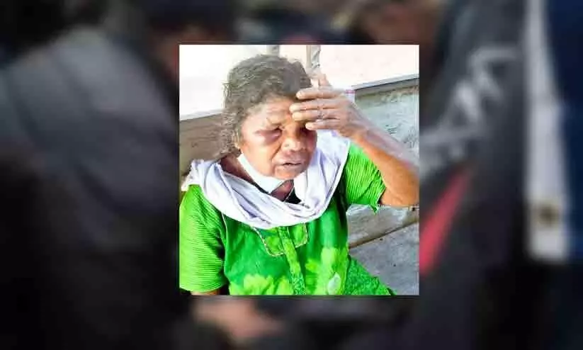 neighbors attack, Elderly woman seriously injured neighbors attack, Elderly woman seriously injured