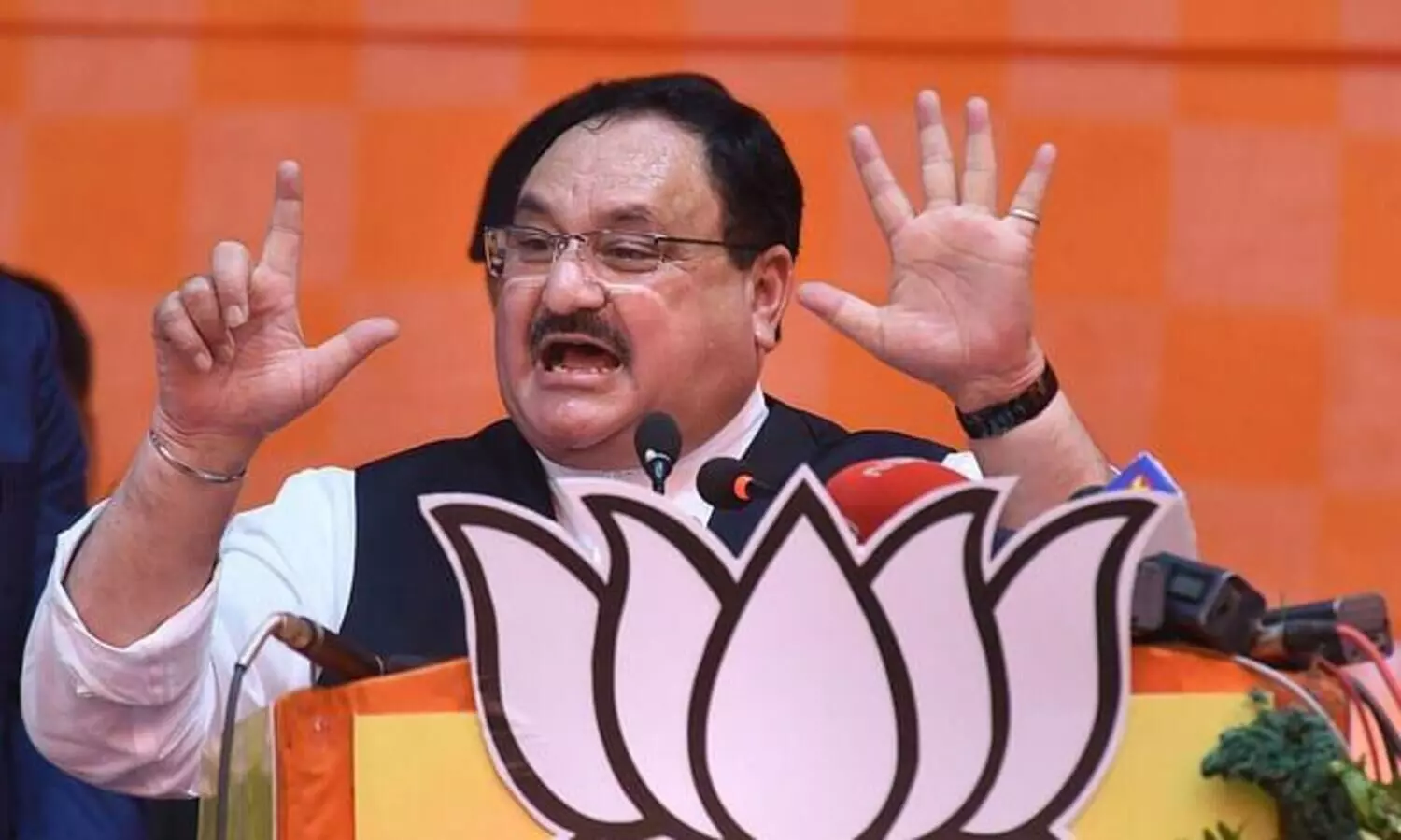 BJP Chief Nadda Announces Alliance
