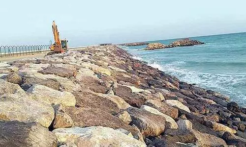 അ​ൽ ദ​ഫ്ര തീ​ര​പ്ര​ദേ​ശ​ങ്ങ​ളി​ൽ മ​ണ്ണൊ​ലി​പ്പ്​ ത​ട​യാ​ൻ   പ​ദ്ധ​തി