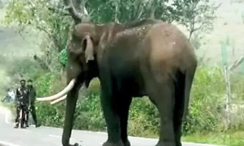 In Idukki, living in fear of landslides