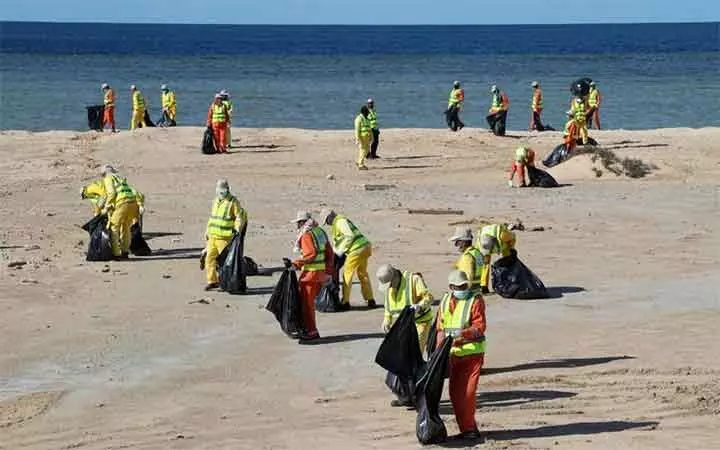 ചെങ്കടൽ തീരത്തെ മാലിന്യങ്ങൾ നീക്കം ചെയ്തു ചെങ്കടൽ തീരത്തെ മാലിന്യങ്ങൾ നീക്കം ചെയ്തു