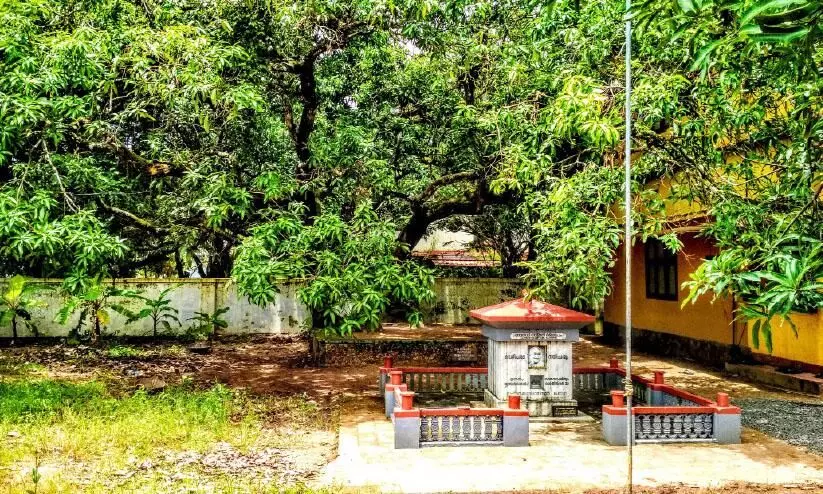 Gandhi tree Gandhi tree