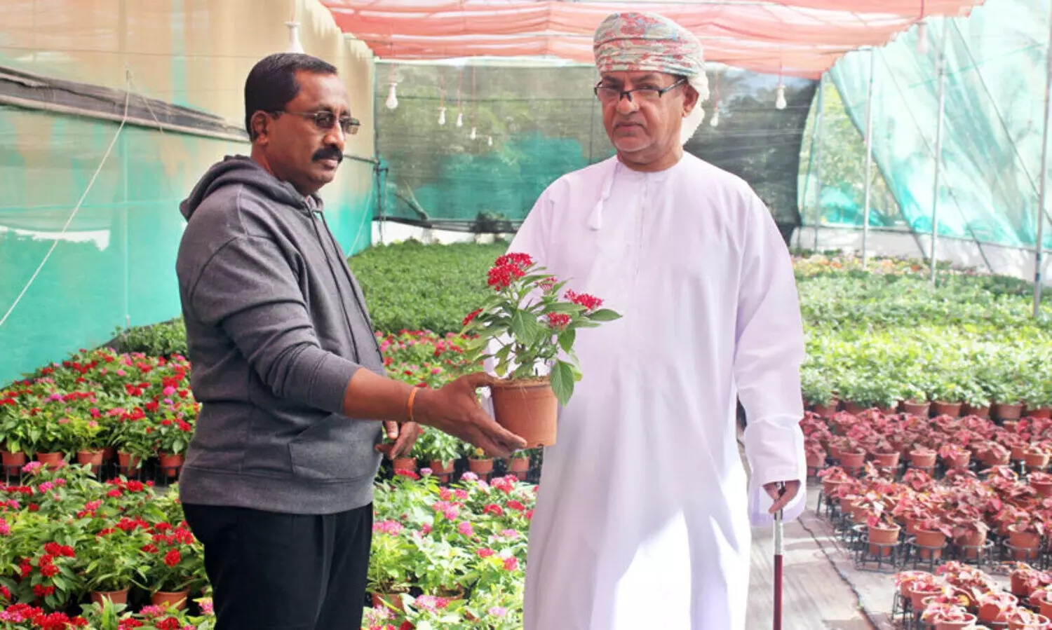 അ​പൂ​ർ​വ ഇ​നം ചെ​ടി​ക​ളു​മാ​യി മലയാളിയുടെ ന​ഴ്സ​റി