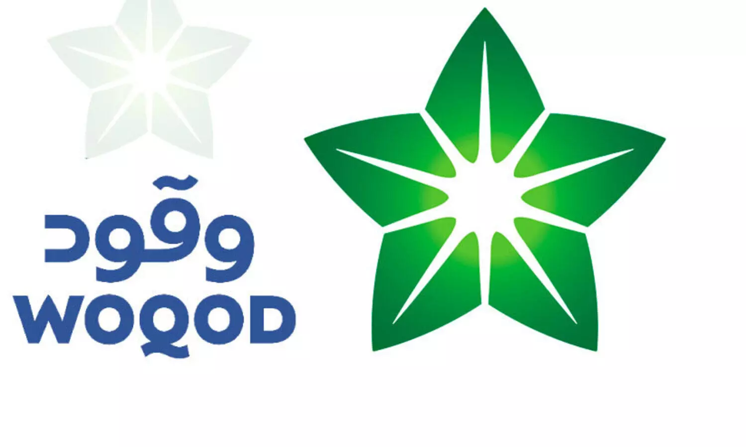 വ്യാ​ജ ഇ-​മെ​യി​ൽ കാ​മ്പ​യി​നെ​തി​രെ വു​ഖൂ​ദ്