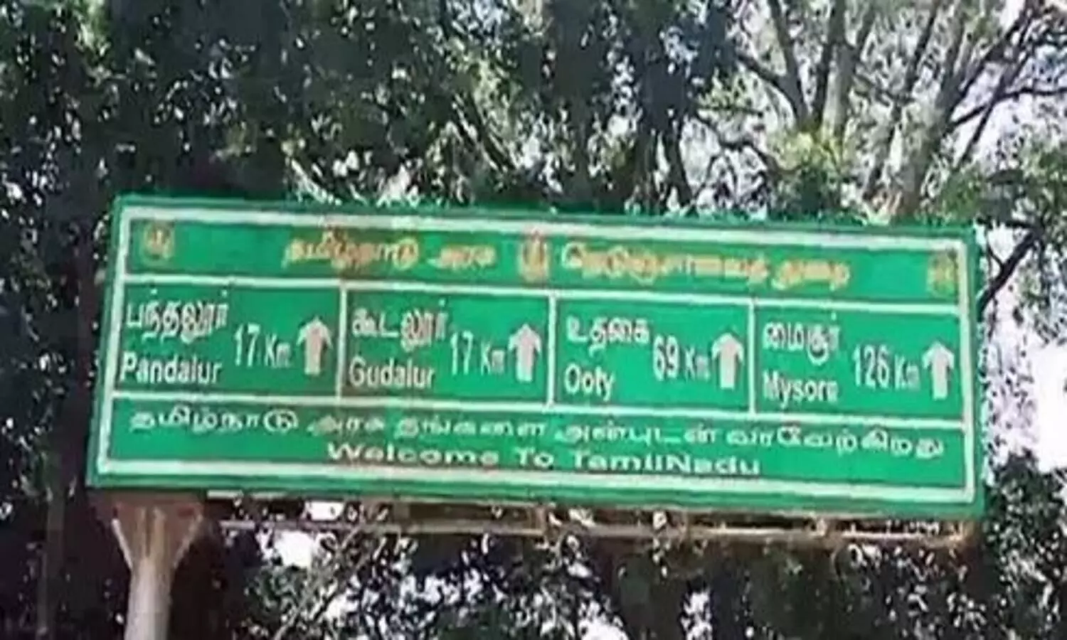 തമിഴ്നാട്ടിലേക്ക് ഇ-പാസ്​; ഓ​ൺ​െ​ലെ​ൻ കേ​ന്ദ്ര​ങ്ങ​ൾ യാ​ത്ര​ക്കാ​രെ പി​ഴി​യു​ന്നു