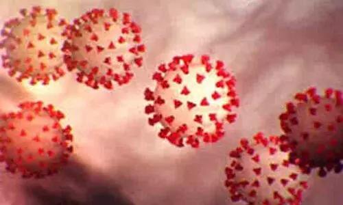 കോ​വി​ഡ്​ വ​ക​ഭേ​ദം: ഒ​മാ​നി​ൽ നാ​ലു കേ​സു​ക​ൾ​കൂ​ടി ക​ണ്ടെ​ത്തി