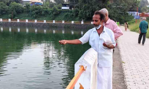 santhosh feeding fish
