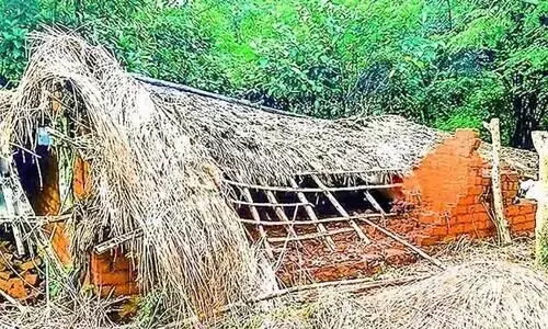 Idukki demanding protection of residents, properties from wild elephants Idukki demanding protection of residents, properties from wild elephants