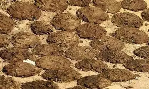 Cruelty to cancer victims