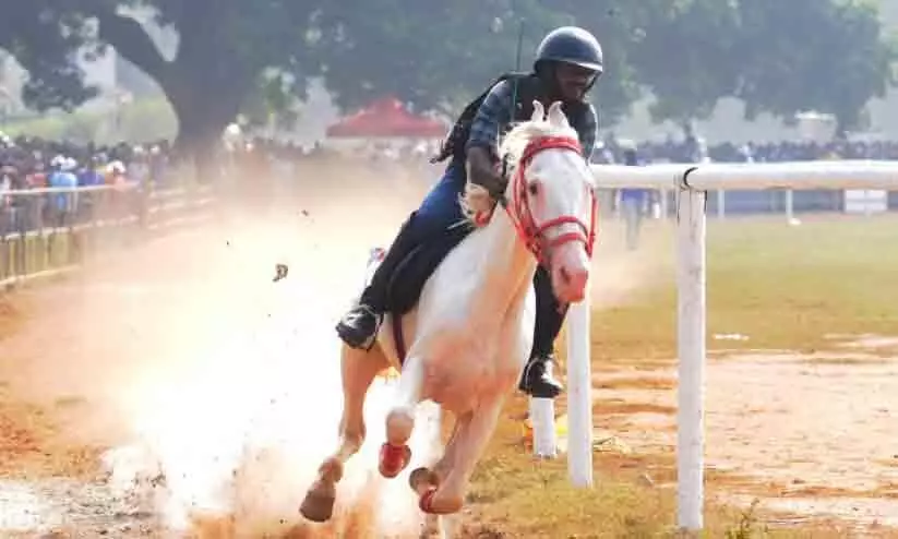 horse ride competition in malappuram