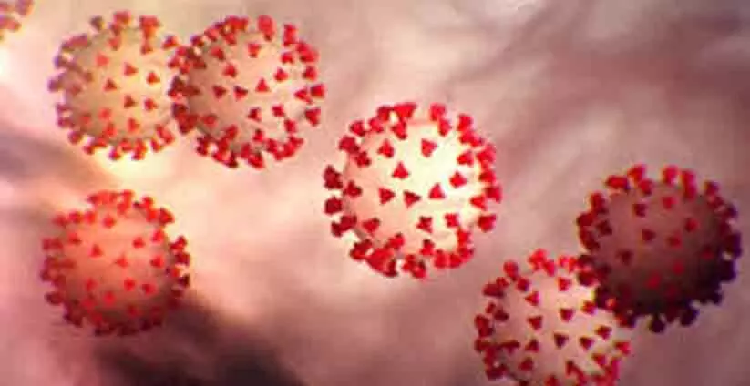 കോ​വി​ഡ്​ വ​ക​ഭേ​ദം: ഒ​മാ​നി​ൽ നാ​ലു കേ​സു​ക​ൾ​കൂ​ടി ക​ണ്ടെ​ത്തി