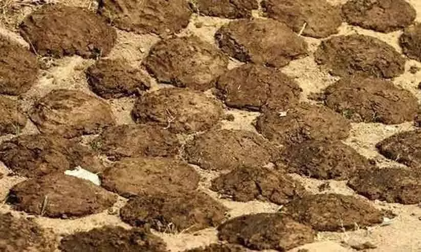 Cruelty to cancer victims Cruelty to cancer victims