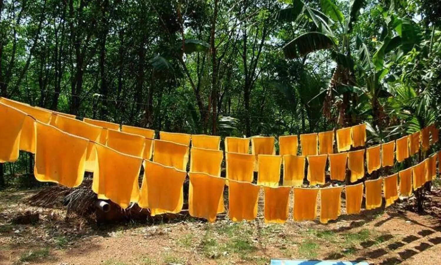 Budget: nothing to Rubber sector