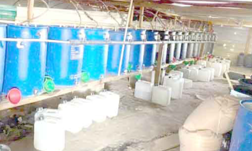 ഫാം ഹൗസിലെ മദ്യ നിർമാണകേന്ദ്രം പിടികൂടി ഫാം ഹൗസിലെ മദ്യ നിർമാണകേന്ദ്രം പിടികൂടി