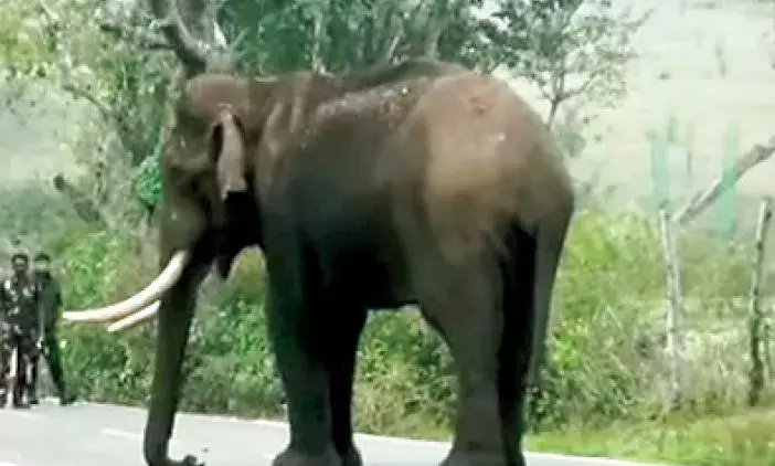 In Idukki, living in fear of landslides In Idukki, living in fear of landslides