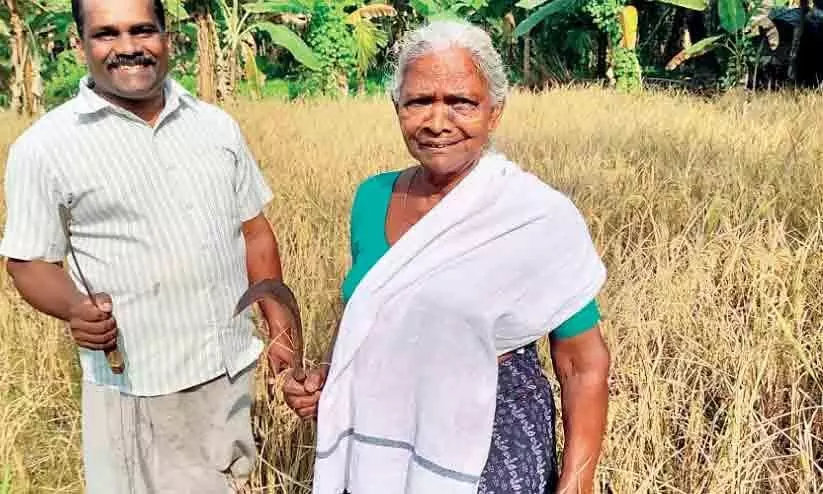 kali, farmer who cultivated her own paddy