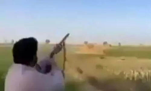 വെടിവെച്ചയാളുടെ കണ്ണിൽ പറന്നുവന്ന്​ കൊത്തി പക്ഷി- വിഡിയോ കാണാം