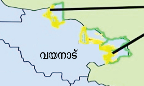 വയനാട്​ വഴി റെയിൽവേ: പരിശോധന ആരംഭിച്ചു