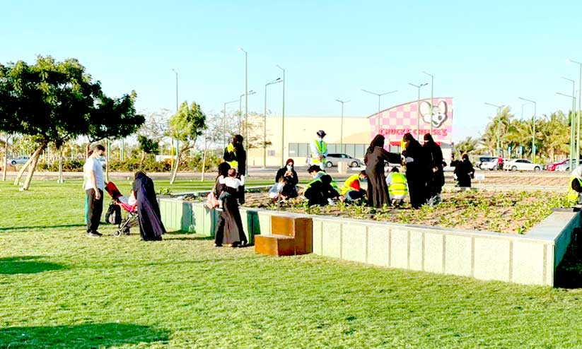 യാംബുവിൽ ഹരിതവത്കരണ കാമ്പയിന് തുടക്കം യാംബുവിൽ ഹരിതവത്കരണ കാമ്പയിന് തുടക്കം