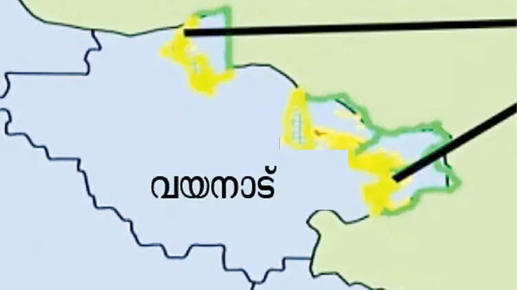 കോ​വി​ഡ് പ്ര​തി​രോ​ധം: വയനാട്ടിൽ വി​വാ​ഹം, കാ​യി​ക​മ​ത്സ​ര​ങ്ങ​ളി​ല്‍ പ​ങ്കെ​ടു​ക്കു​ന്ന​വ​ര്‍ക്ക് നി​യ​ന്ത്ര​ണം