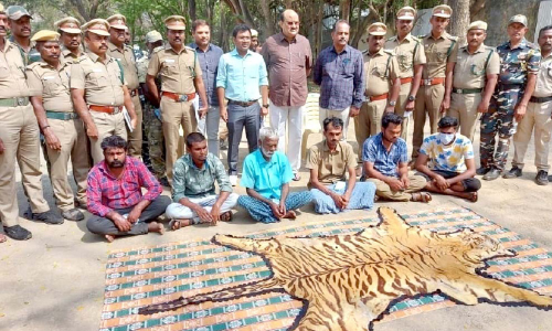 15 വര്‍ഷം മുമ്പ്​ വേട്ടയാടിയ കടുവയുടെ​ തോലുമായി ആറുപേർ അറസ്​റ്റിൽ