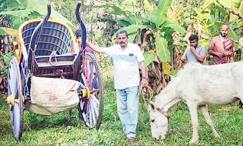 കുതിരവണ്ടിയുമായി പരിസ്ഥിതി സൗഹൃദ സവാരി​െക്കാരുങ്ങി 56കാരൻ
