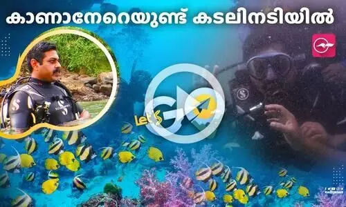 കോവളത്ത് സ്കൂബഡൈവ് ചെയ്യാം, മീനുകൾക്കൊപ്പം നീന്താം