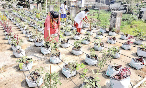 ഹ​രി​ത​ച​ട്ട പാ​ല​നം: 100 മാ​ര്‍ക്കും നേ​ടി ജി​ല്ല ഹോ​മി​യോ ആ​ശു​പ​ത്രി ഒ​ന്നാ​മ​ത്