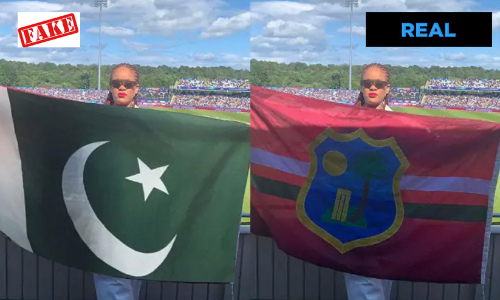 rihanna pak flag fake image