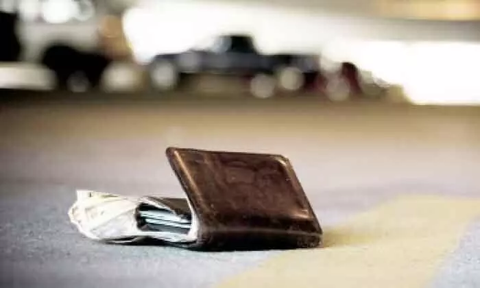 swanthanasparsham adalat; purse stolen swanthanasparsham adalat; purse stolen