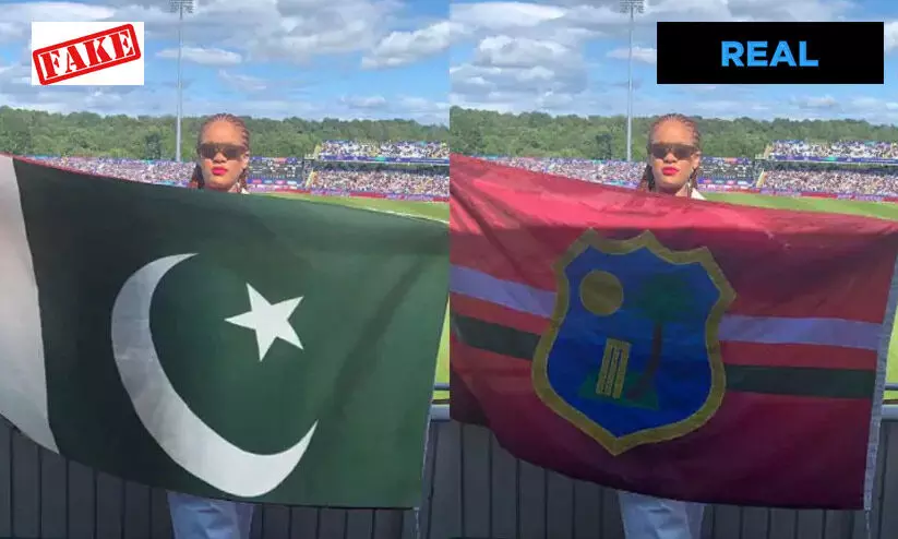 rihanna pak flag fake image