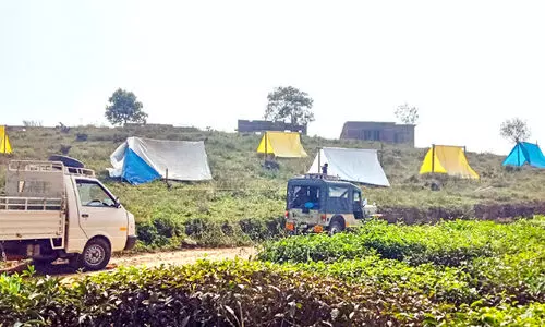 പുനരധിവാസ പട്ടികയിലില്ല; പൂത്തകൊല്ലിയിൽ കുടുംബങ്ങളുടെ കുടിൽകെട്ടി സമരം പുനരധിവാസ പട്ടികയിലില്ല; പൂത്തകൊല്ലിയിൽ കുടുംബങ്ങളുടെ കുടിൽകെട്ടി സമരം