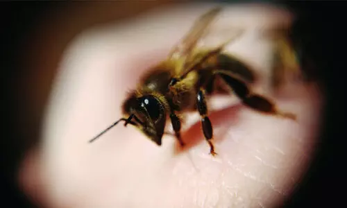 തേനീച്ചക്കുത്തേറ്റ് വിദ്യാർഥികൾ ആശുപത്രിയിൽ