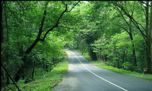 കാ​ടി​നെ അ​റി​യാ​ന്‍ മ​ല​ക്ക​പ്പാ​റ ജം​ഗി​ള്‍ സ​ഫാ​രി ഇ​ന്ന് മു​ത​ല്‍