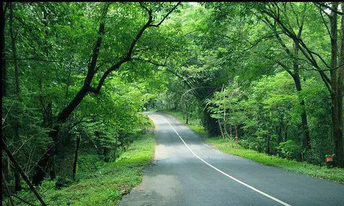 തുമ്പൂർമുഴിയിൽ ടൂറിസം ട്രെയ്നിങ് സെൻറർ വരുന്നു; മലക്കപ്പാറ ജംഗിൾ സഫാരി മാർച്ച് മുതൽ
