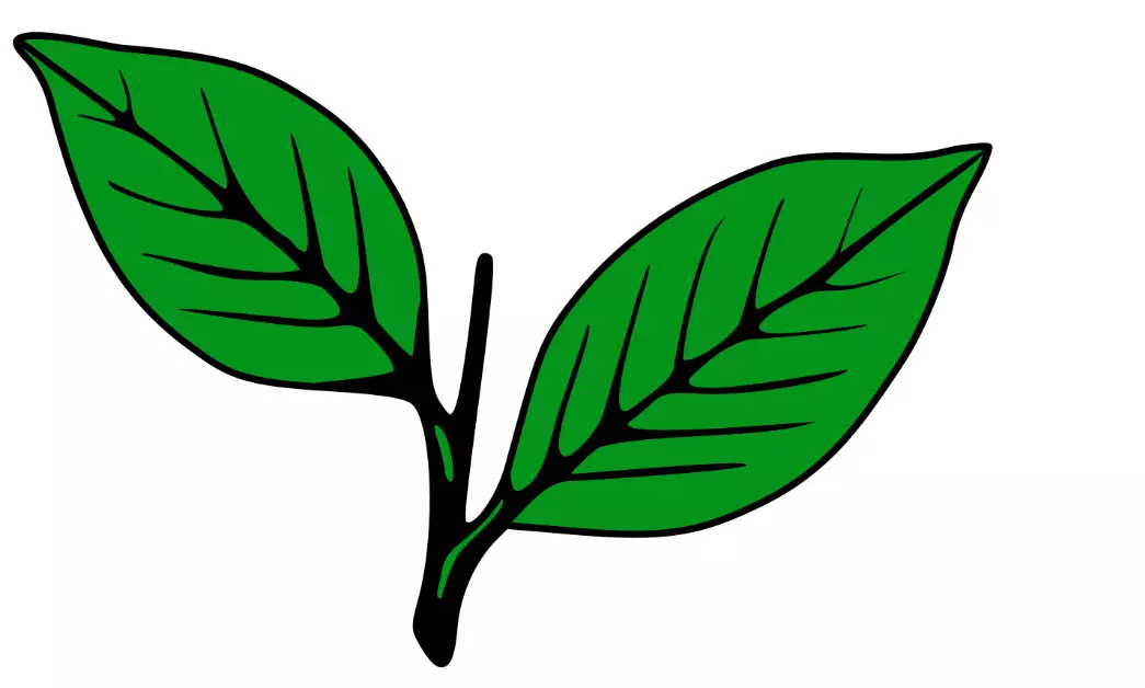 kerala congress m kerala congress m