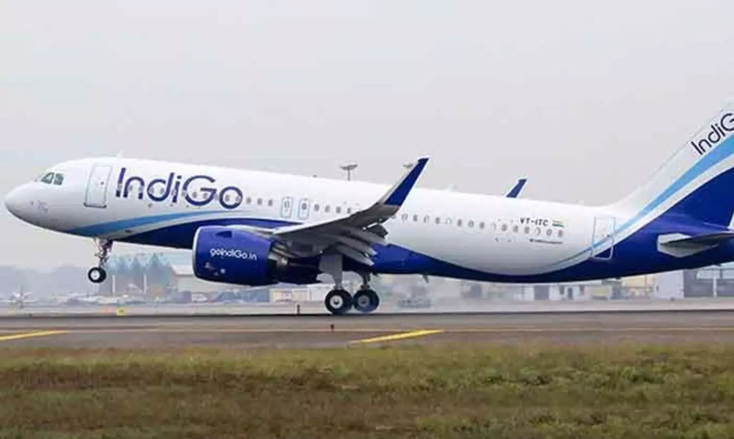 indigo