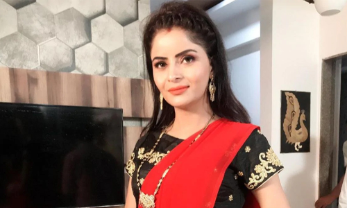 ​ഗെഹനയുടെ നീലച്ചിത്ര നിർമാണം പുതുമുഖങ്ങളെ വലയിലാക്കിയെന്ന്​ പൊലീസ്